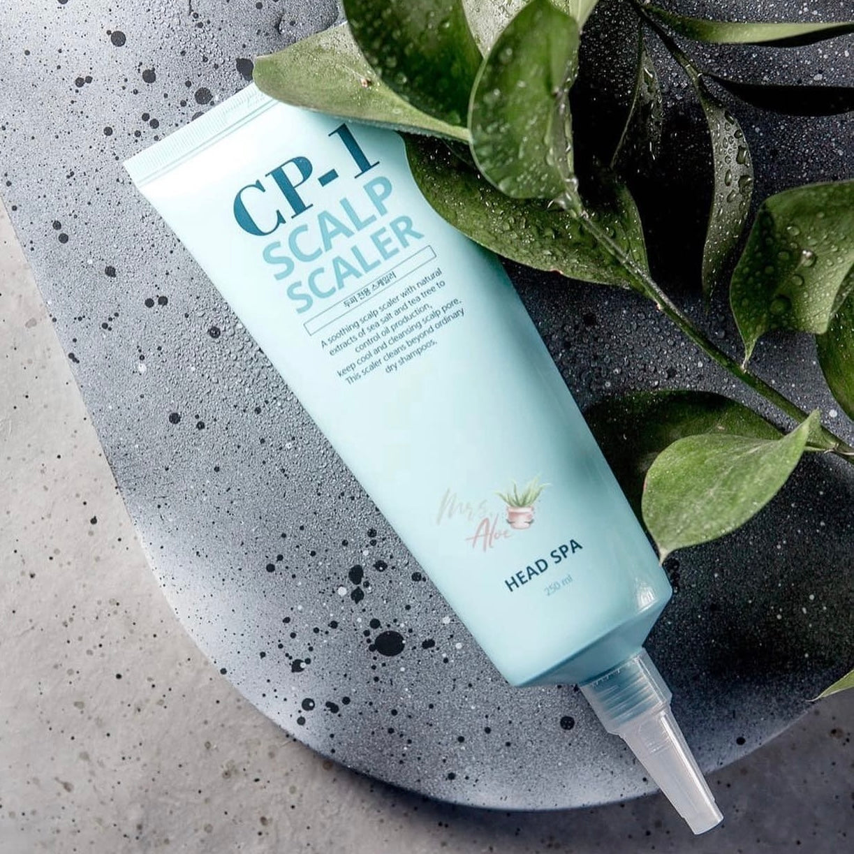 CP 1 Scalp Scaler galvas ādas pīlings tūbiņā uz akmens virsmas ar zaļām lapām un ūdens pilieniem.